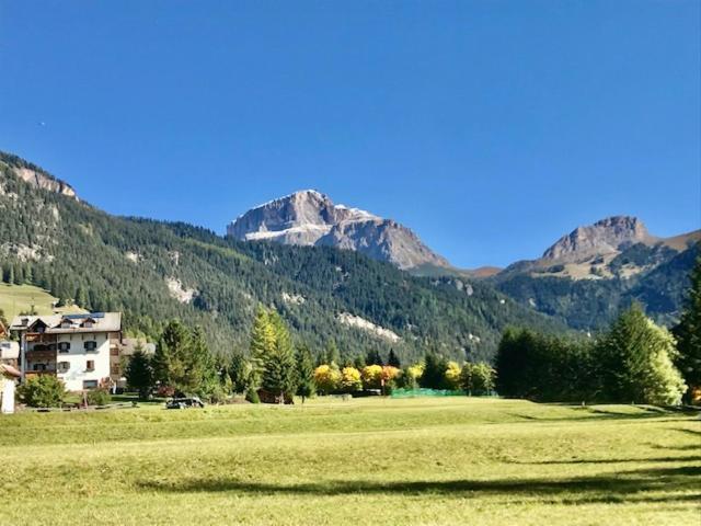Cesa Edelweiss Living & Campitello di Fassa