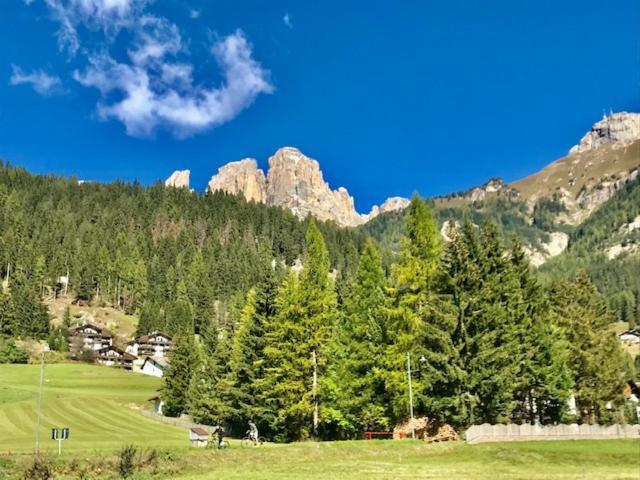 Cesa Edelweiss Living & Apartment