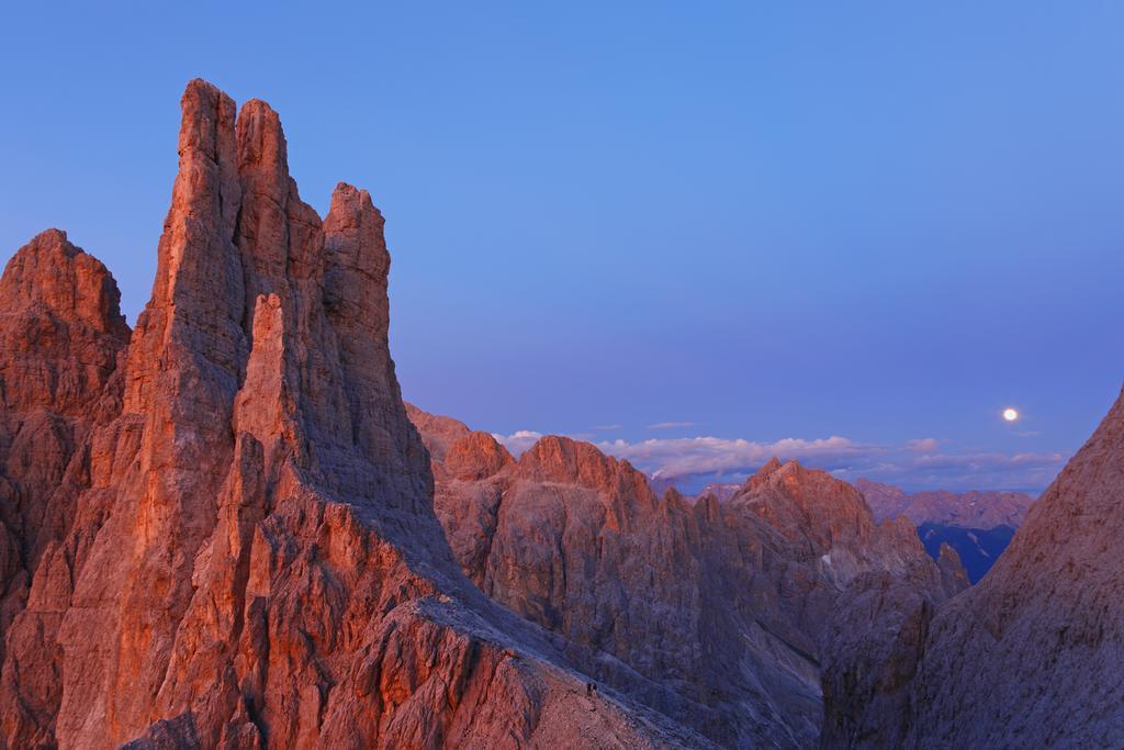 Cesa Edelweiss Living & * Campitello di Fassa